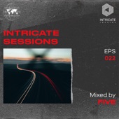 Intricate Sessions Podcast #022 (DJ Mix) artwork