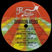 Never Give You Up (Michael Gray Remix) - EP artwork