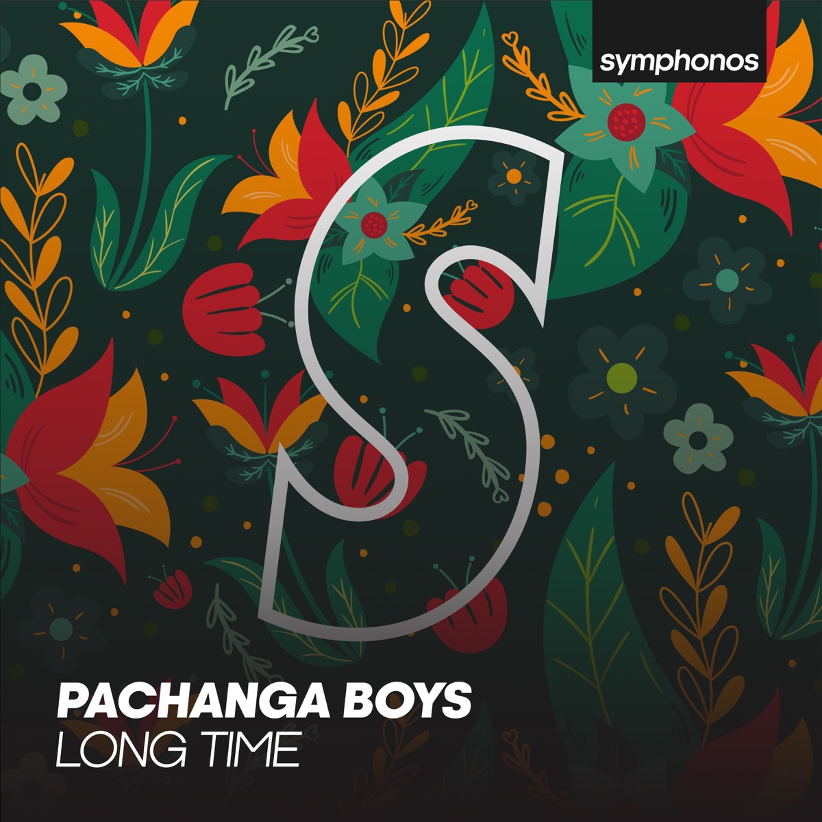 We Are Really Sorry by Pachanga Boys on Apple Music