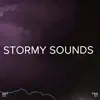 !!!" Stormy Sounds "!!! album lyrics, reviews, download