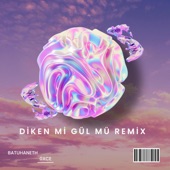 Diken Mi Gül Mü Remix artwork