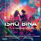 Ishq Bina (Lofi Mix) artwork