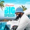 Big Speech artwork