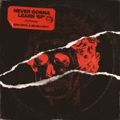 Never Gonna Learn - EP artwork