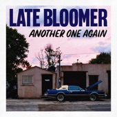 Late Bloomer - What Do You Say