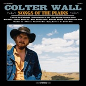 Colter Wall - The Trains Are Gone