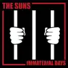 Immaterial Days - Single album lyrics, reviews, download