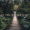 In the Wilderness - EP