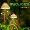 Stream & download Magical Forest - Single