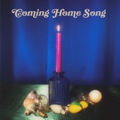 Coming Home Song by Sammy Rae & The Friends