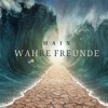 WAHRE FREUNDE - Single