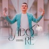 Adore - Single