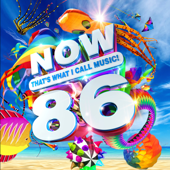 NOW That's What I Call Music! Vol. 86 - Various Artists song art