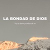 LA BONDAD DE DIOS