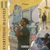 Everything I$ Lovely 2