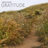 Gratitude