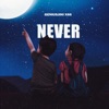 Never - Single