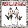 A Walk With Blind Boy (The Songs of Blind Boy Fuller)