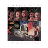 Weather Report - Freezing Fire