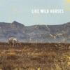 Like Wild Horses - Single