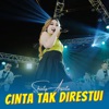 Cinta Tak Direstui - Single