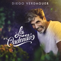 Diego Verdaguer Letras Listas De Reproduccion Y Videos Shazam