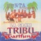 Mi Centro América (feat. B. Guerro & D.A.R.) - La Gran Tribu Garifuna lyrics