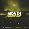 Vida En Abundancia (En Vivo) - Single