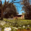 Free Afternoon - Single, 2023