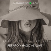 Sencillita Tranquilita Respiro y hago así (Live) artwork