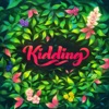 Kidding - Single