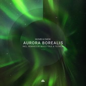 Aurora Borealis artwork