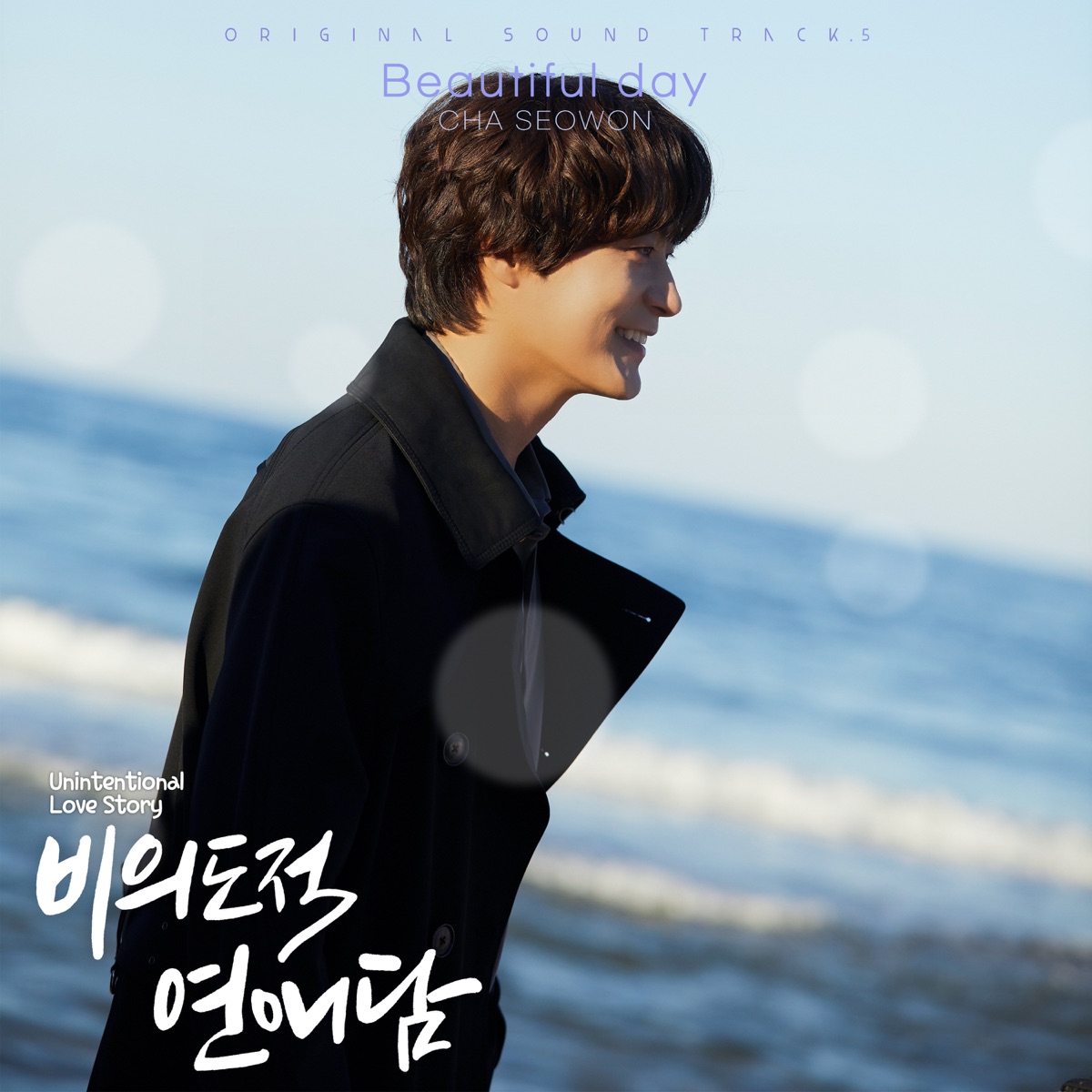 CHA SEOWON – Unintentional Love Story Original Televion Soundtrack Pt. 5