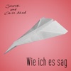 Wie ich es sag - Single