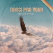 Nasci Pra Voar artwork