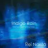 Indigo Rain (feat. Peter White & Omar Hakim) - Single album lyrics, reviews, download