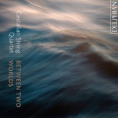 La nuit froide et sombre (Arr. for String Quartet by Sini Simonen) artwork