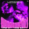 Picadilly (Chopnotslop) [ConanLeGrosBarbare Remix] song lyrics