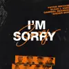 I'm Sorry (feat. Ander Bock & Eliud L'voices) - Single album lyrics, reviews, download