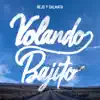 Stream & download Volando Bajito - Single
