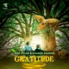 Gratitude - Single