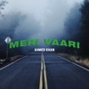 Meri Vaari - Single