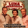 Luna Enamorada - Single