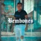 Vuelve (feat. Javier Correa) - Los Bembones lyrics