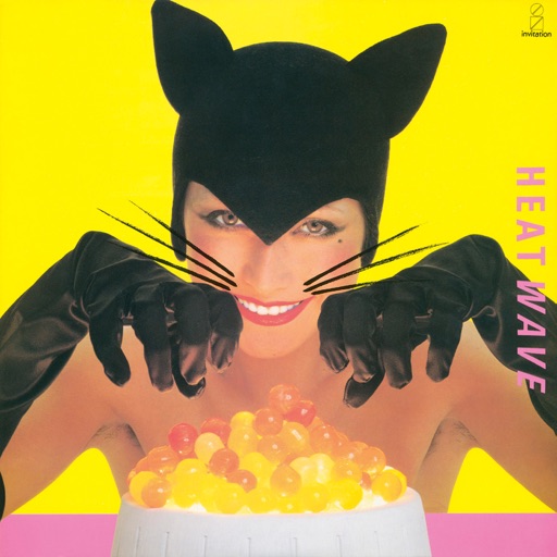即購入OK!!　ブラックキャッツ　バンスコ２冊　激レア！！ロカビリー・ジャパロカ BLACK CATS | ディスコグラフィー | ビクターエンタテインメント