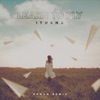 Learn To Fly (Ronan Remix) - Single