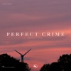 Perfect Crime - Single