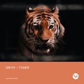 Tiger artwork