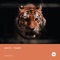 Tiger (Extended Mix) artwork