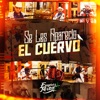 Se Les Aparecio El Cuervo - Single